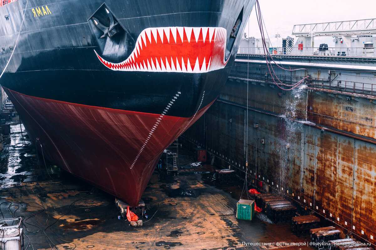 "Это обычная рыбацкая лодка в Матушке России": узнала, что иностранцы думают о русском атомном ледоколе