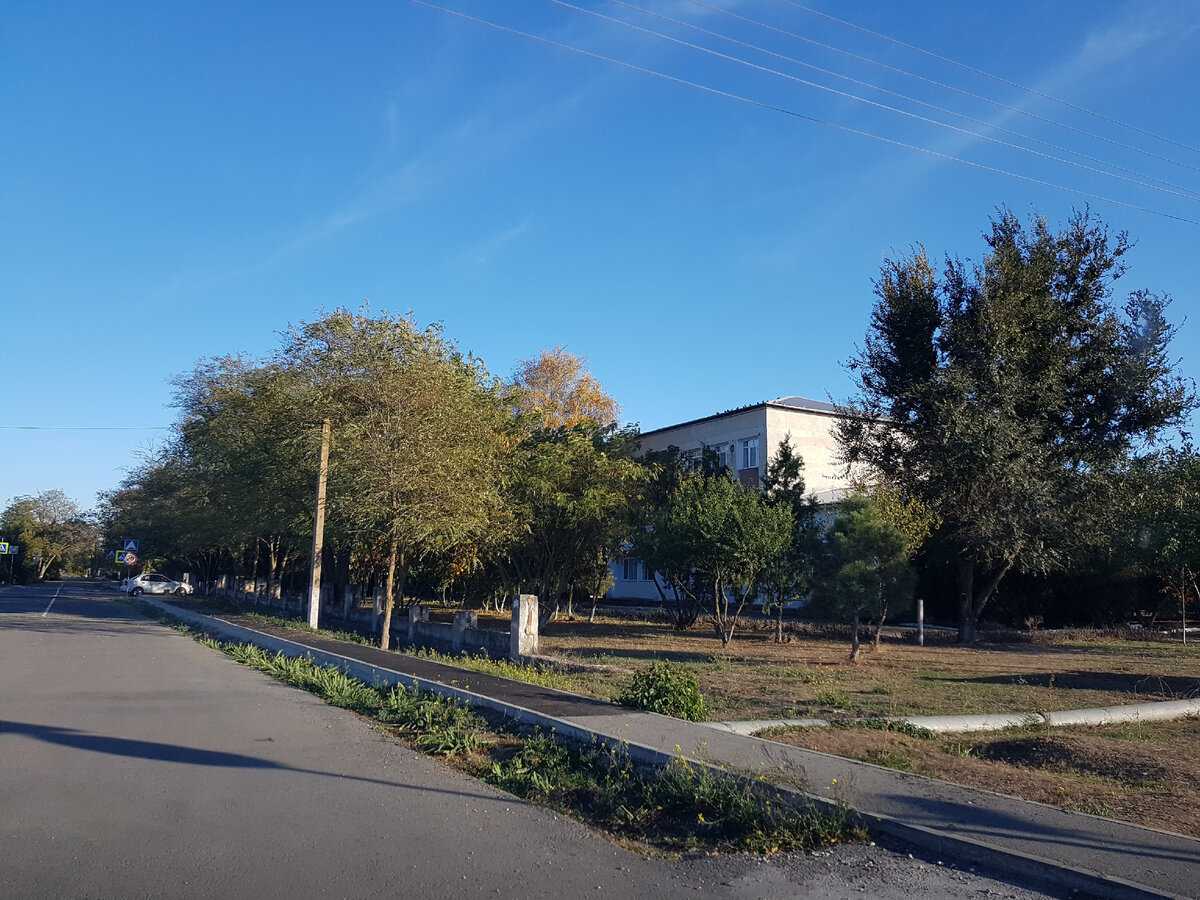 Улица Школьная и трёхэтажная школа справа спряталась в осенней листве.