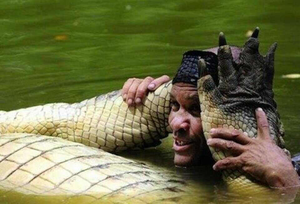 Мужчина считает, что крокодил мог причинить ему вред первые два года после знакомства. По истечении времени, они уже стали почти семьёй 