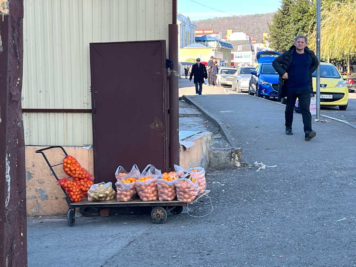 Съездили за мандаринами на границу Россия - Абхазия: Цены сильно отличаются по обе стороны (сравнение цен, фото с мест продажи)