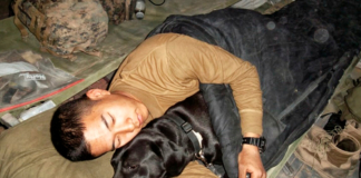 Лабрадор спас жизнь этому пехотинцу. Офицер уехал, но дал собаке одно обещание, и спустя 6 лет вернулся, чтобы выполнить его