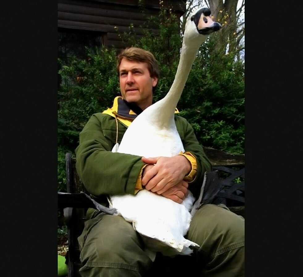 Ричард Визе с лебедем которого спас 2 года назад