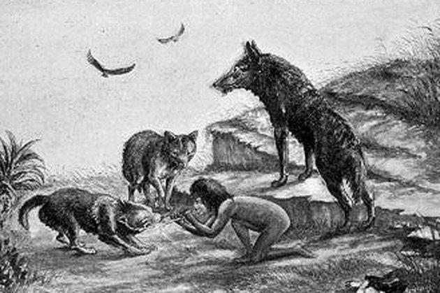 Ребенок среди волков. Рисунок неизвестного художника