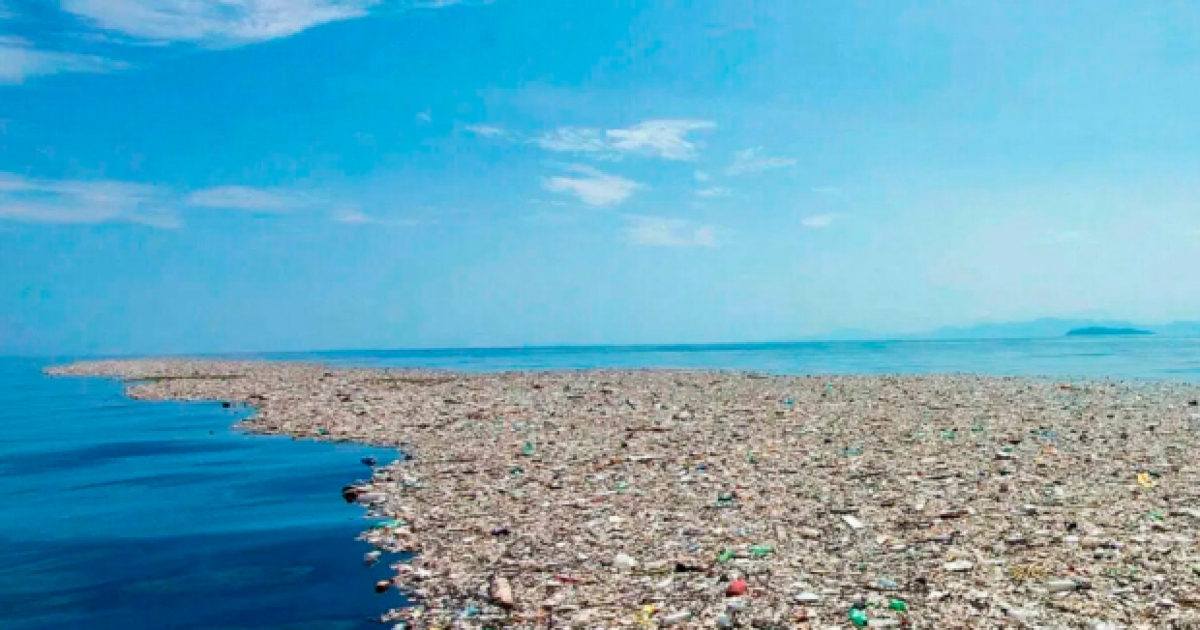 Закрытый океан: как на самом деле выглядит Большое тихоокеанское мусорное пятно и кто там живёт
